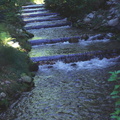 Kokanee Creek
