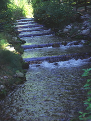 Kokanee Creek