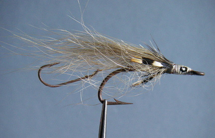 Old bucktail 1