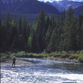Upper Elk River 5