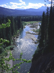Upper Elk River 8