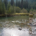 Father playing Bull trout