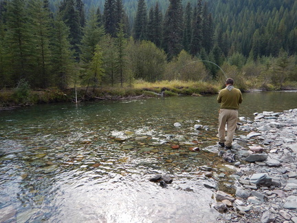 Father playing Bull trout