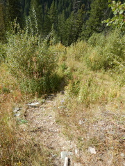 Trail down to Wigwam at 35 km 2