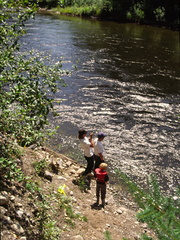Atnarko River 2