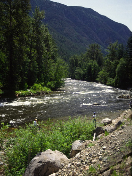 Atnarko River 4