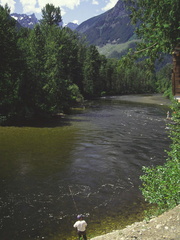 Atnarko River 6