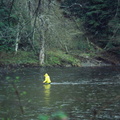 Salmon River 8
