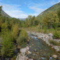 Lodgepole River 1