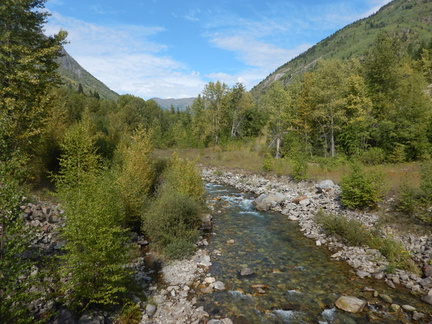Lodgepole River 1