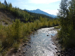 Lodgepole River 2