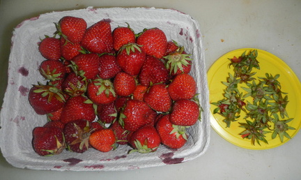 Strawberries 001
