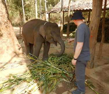 Matt with elephants 1