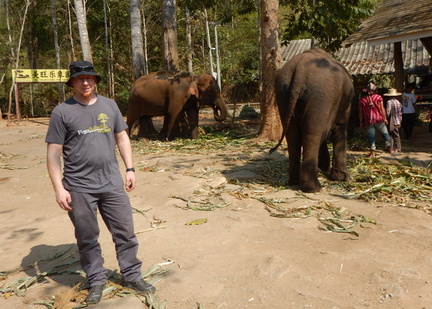 Matt with elephants 2