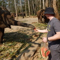 Matt with elephants 3
