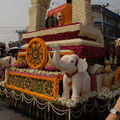 Flower Parade 6