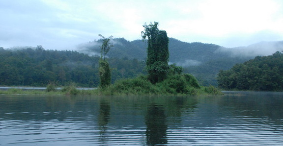 Mae Ngat - island foliage