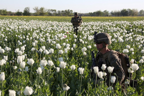 Soldiers in field