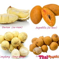 Thai Fruits2