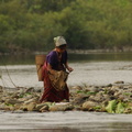 Ladiy collecting river shrimp 1