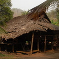Leaf thatched roof