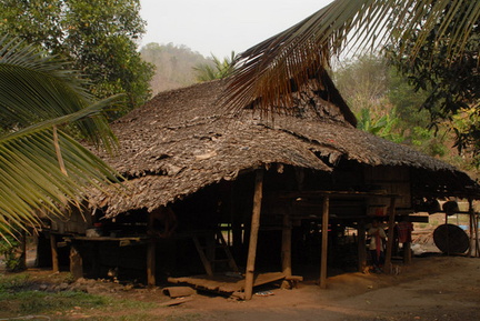 Leaf thatched roof