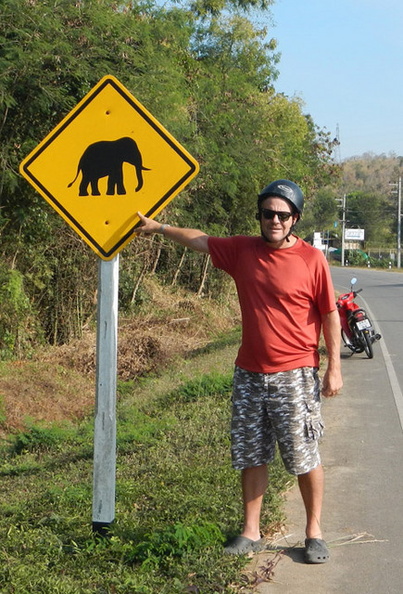 Elephant_crossing.jpg