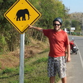Elephant_crossing.jpg