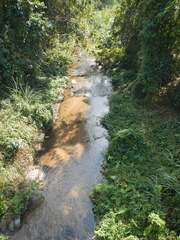 Thai stream 2