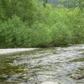Coquitlam River 28