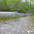 Coquitlam River 8