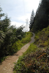 Buntzen hiking trails 4