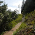 Buntzen hiking trails 4