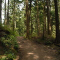 Buntzen hiking trails 6