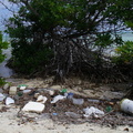 CAYMAN beach garbage