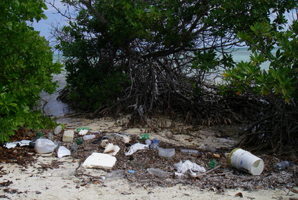 CAYMAN beach garbage