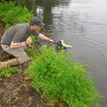 Paul netting a nice brown trout