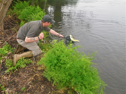 Paul netting a nice brown trout