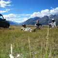 Lunch in the Mt Cook Park. 