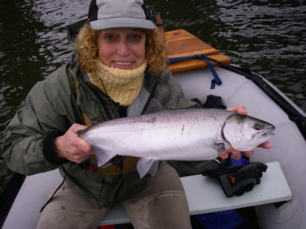 First Coho 2007