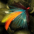 Winter's Hope
(Fly Tying Force)