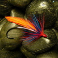Winter's Hope
(Fly Tying Force)