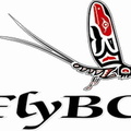 FlyBC