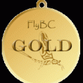 Gold Medal no tag sm