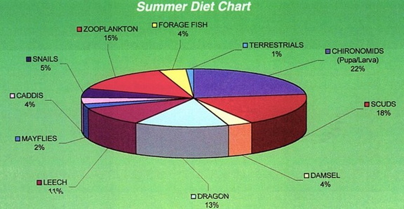 DietChart-Summer