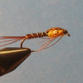 Beaded Pheasant Tail Nymph