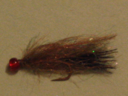 Angel hair with red bead head. This was a killer fly at Tunkwa at the Fish-In