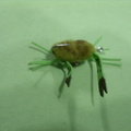 Crab fly. Good for permit and bonefish.