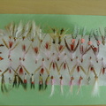 A whole wack of bone fish flies ready for Cuba. I sure hope they work. They are sure big for my liking. But my friends who go to