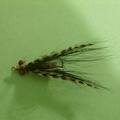 Bonefish Crazy Charlie type of fly. They seem to like the grizzly hackle. So I use it often.
